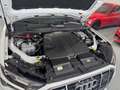 Audi Q7 50 TDI S line plus quattro Blanco - thumbnail 48