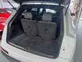 Audi Q7 50 TDI S line plus quattro Blanco - thumbnail 41