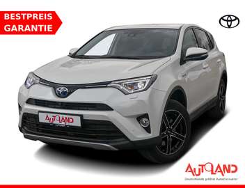 RAV4 2.5 Hybrid Team D Navi ACC 360° Kamera AHK