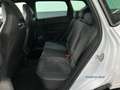 CUPRA Ateca 2.0 TSI DSG 4D Brembo Pano AHK Beats 360° Weiß - thumbnail 6