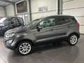 Ford EcoSport 1.0 **Navi*Kamera*Klima*SHZ*PDC*Temp** Grau - thumbnail 3