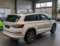 Skoda Kodiaq 2.0 TDI 4x4 DSG Sportline 8-fach Alb - thumbnail 6