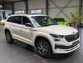 Skoda Kodiaq 2.0 TDI 4x4 DSG Sportline 8-fach Alb - thumbnail 5