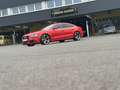 Audi A5 SB 3,0 TDI DPF Aut. - thumbnail 17