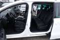 Volkswagen Sharan 2.0TDI 4M DSG  KAM ACC APP LED DAB AHK 18 Weiß - thumbnail 10