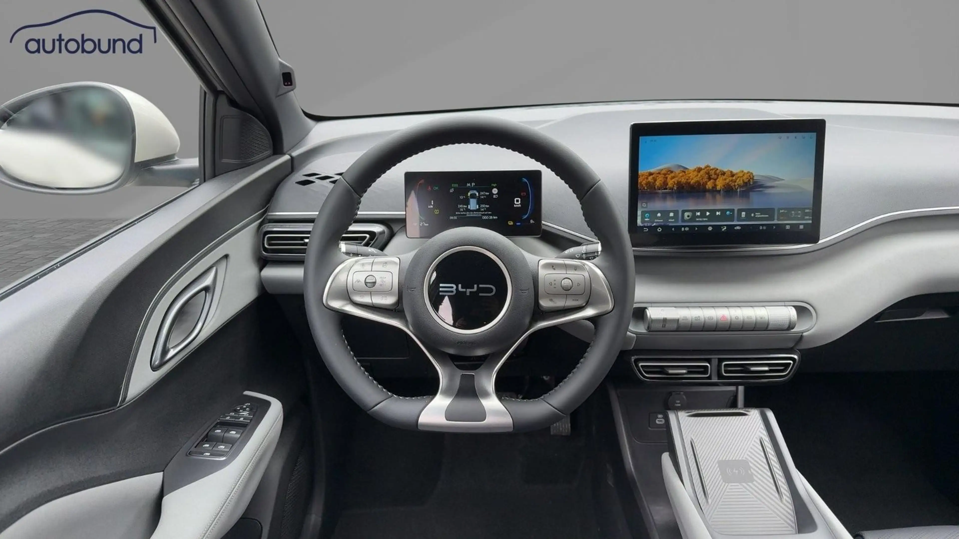 BYD Dolphin Surf Comfort Alu LED Link NAV NBA PDC RFK SHA Shz — photo 10
