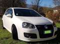 Volkswagen Golf GTI 2,0 DSG EDITION 30 Blanc - thumbnail 3