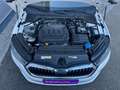 Skoda Octavia Combi 2.0 TDI Style DSG *ACC*AHK*PANO*GARANTIE* Weiß - thumbnail 7