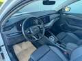 Skoda Octavia Combi 2.0 TDI Style DSG *ACC*AHK*PANO*GARANTIE* Weiß - thumbnail 10