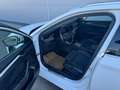 Skoda Octavia Combi 2.0 TDI Style DSG *ACC*AHK*PANO*GARANTIE* Weiß - thumbnail 11