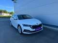 Skoda Octavia Combi 2.0 TDI Style DSG *ACC*AHK*PANO*GARANTIE* Weiß - thumbnail 14