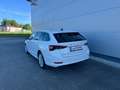 Skoda Octavia Combi 2.0 TDI Style DSG *ACC*AHK*PANO*GARANTIE* Weiß - thumbnail 6