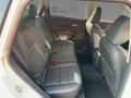 Nissan X-Trail N-CONNECTA Automatik  Winter/Carplay/ e-Power Bianco - thumbnail 12