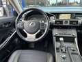 Lexus IS 300 300h 25th Edition | Limited Edition | Navigatie | Grau - thumbnail 2