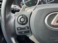 Lexus IS 300 300h 25th Edition | Limited Edition | Navigatie | Grau - thumbnail 18