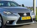 Lexus IS 300 300h 25th Edition | Limited Edition | Navigatie | Grau - thumbnail 23