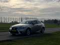 Lexus IS 300 300h 25th Edition | Limited Edition | Navigatie | Grau - thumbnail 5