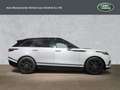Land Rover Range Rover Velar D275 R-Dynamic S BLACK-PACK WINTER-PAKET 20 Weiß - thumbnail 7