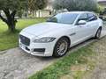 Jaguar XF Jaguar XF 2.0 D E-Performance aut. Pure Bianco - thumbnail 1