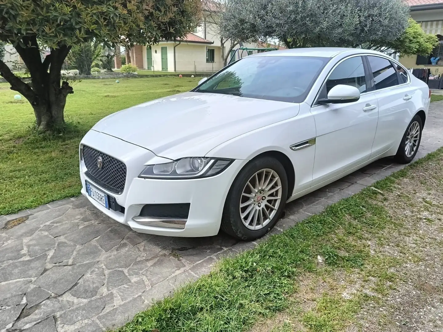 Jaguar XF Jaguar XF 2.0 D E-Performance aut. Pure Bianco - 1