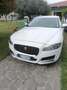 Jaguar XF Jaguar XF 2.0 D E-Performance aut. Pure Bianco - thumbnail 2