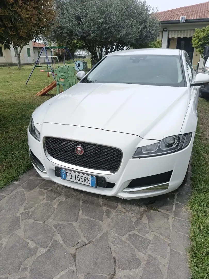 Jaguar XF Jaguar XF 2.0 D E-Performance aut. Pure Bianco - 2