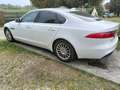 Jaguar XF Jaguar XF 2.0 D E-Performance aut. Pure Bianco - thumbnail 4