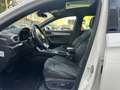 SEAT Leon 1.5 eTSI FR Pano DSG Beats FR Virtual Blanco - thumbnail 17