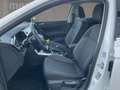 Volkswagen Polo Life 1.0 AppConn*SHZ*Alu*Climatronic*PDC* Weiß - thumbnail 7
