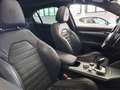 Alfa Romeo Stelvio Veloce Q4 my21 Diesel Auto *TETTO* - thumbnail 14