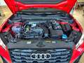 Audi Q2 35 Tfsi identity Black S-Line plus Rosso - thumbnail 10