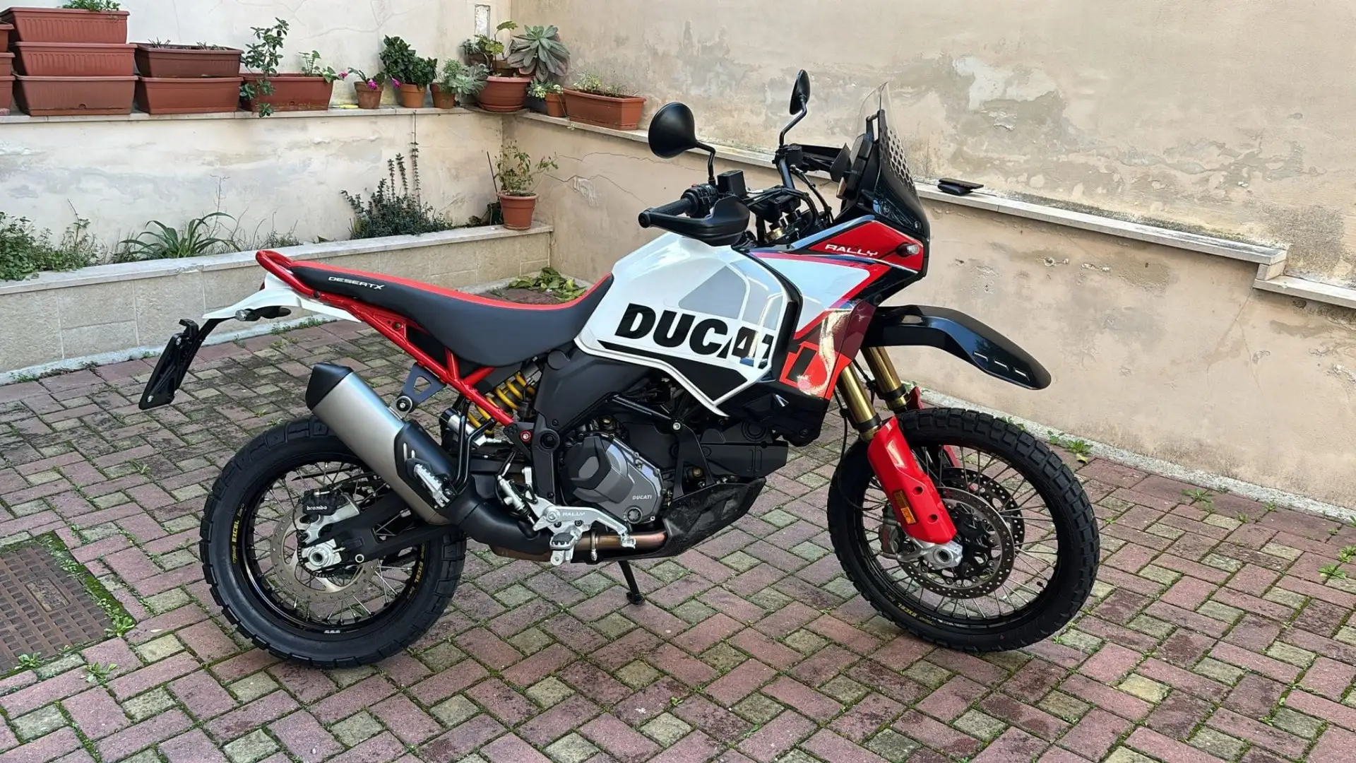 Ducati DesertX Bianco - 1