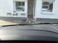 Toyota Proace L1 Family Comfort NAVI-HUD-RKAM-KEYLESS-8SITZER Weiß - thumbnail 18