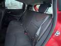 Renault Clio Renault Clio 1.5 dCi 75CV 5p X NEOPATENTATI Rosso - thumbnail 12