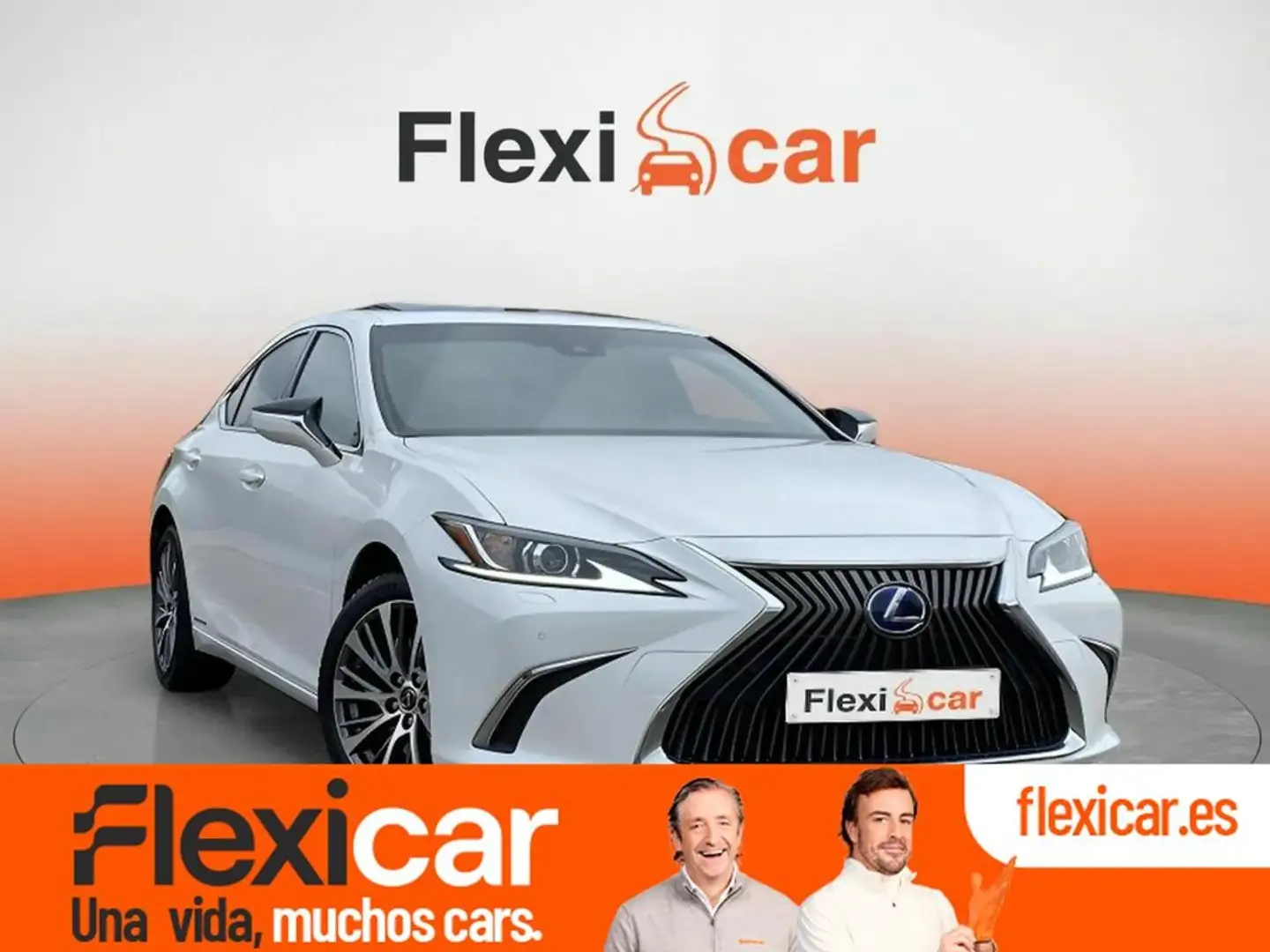 Lexus ES 300 2.5 300h ECO Geel - 1