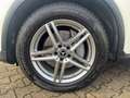 Mercedes-Benz 220 GLCd 4Matic 9G-TRONIC LED+Navi+SHZ+360° Weiß - thumbnail 10