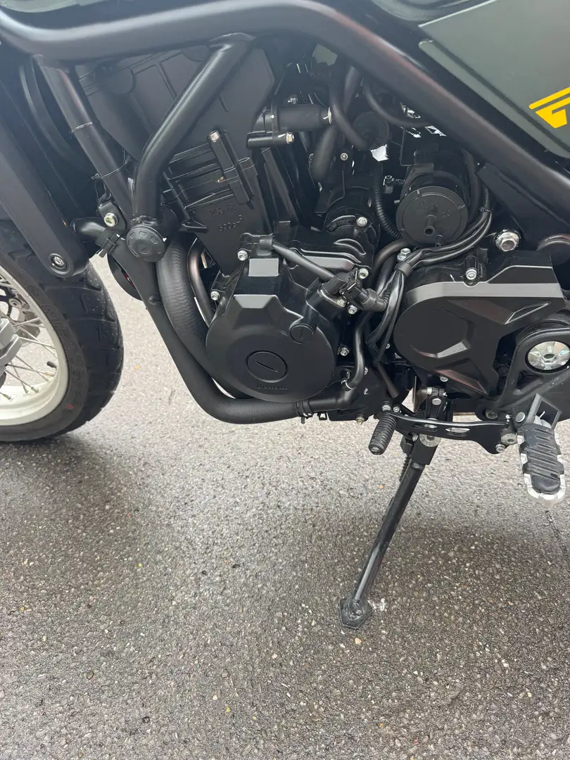 Benelli Leoncino 500 Verde - 2