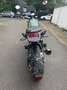 Benelli Leoncino 500 Verde - thumbnail 9