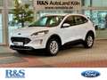 Ford Kuga Titanium+Key-Free+Kamera+Navi+Winter-P. Weiß - thumbnail 1