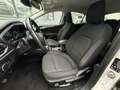 Ford Focus 1.5 EcoBoost Active Business Cima Navi Led CarPlay Bianco - thumbnail 5