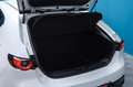 Mazda 3 2.0 e-SKYACTIV-G 122cv ZENITH Blanco - thumbnail 16