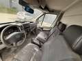 Mercedes-Benz Sprinter / Automaat / Lichte Vracht / 3-zitpl. / EXPORT Bianco - thumbnail 9