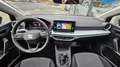 SEAT Ibiza 1,0 TSI Reference Edition 40 Schwarz - thumbnail 18