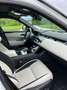 Land Rover Range Rover Velar D180 Allrad R-Dynamic S Aut. Weiß - thumbnail 6