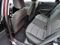 Kia Ceed / cee'd SW 1.0T VISION Klima Navigation Schwarz - thumbnail 7