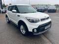 Kia Soul Dream Team edition Weiß - thumbnail 7