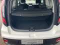 Kia Soul Dream Team edition Weiß - thumbnail 8