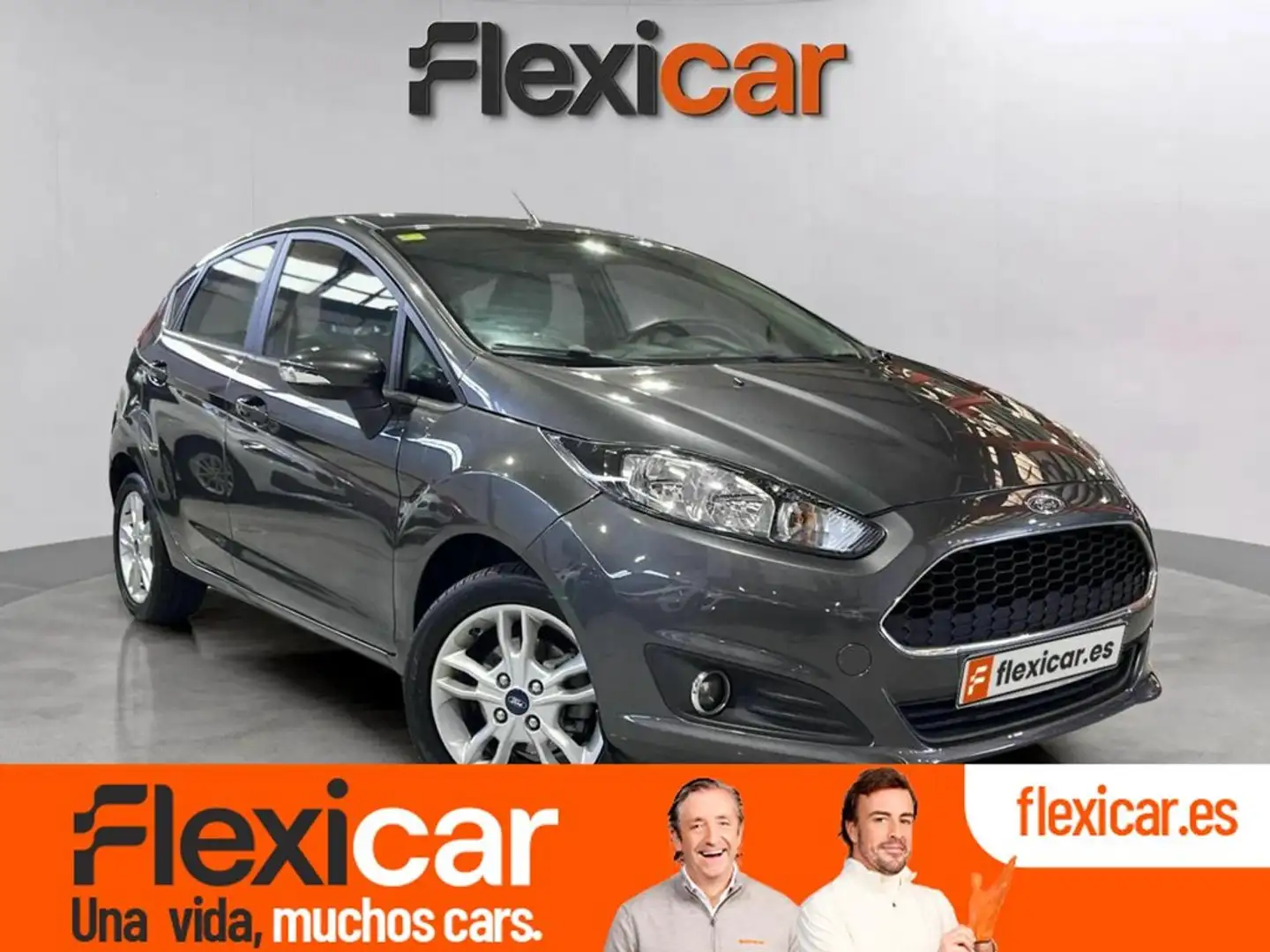 Ford Fiesta 1.25 Duratec 82cv Trend 5p Gris - 1