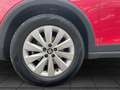 SEAT Arona 1.0 TSI 5 Gang Xcellence PDC hinten Rojo - thumbnail 3