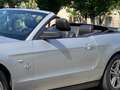 Ford Mustang cabrio, v6, 4000cc, NO superbollo Argento - thumbnail 10